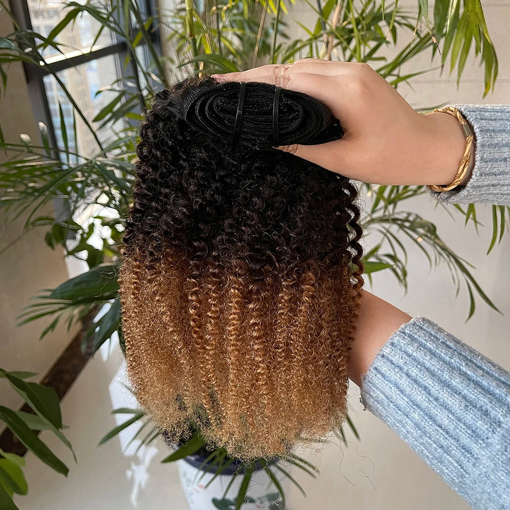Extension De Cheveux Noirs Brésiliens 1b/4/27 10A Afro Kinky Humain Clip-in Naturel sans Odeur sans Traction Paquet PVC